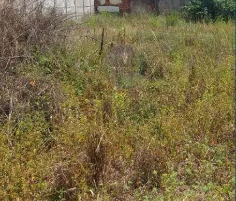 LOTE | APROX:36 M | JARDIM FREI EUGÊNIO | UBERABA/MG - Possibilidade — Imagem